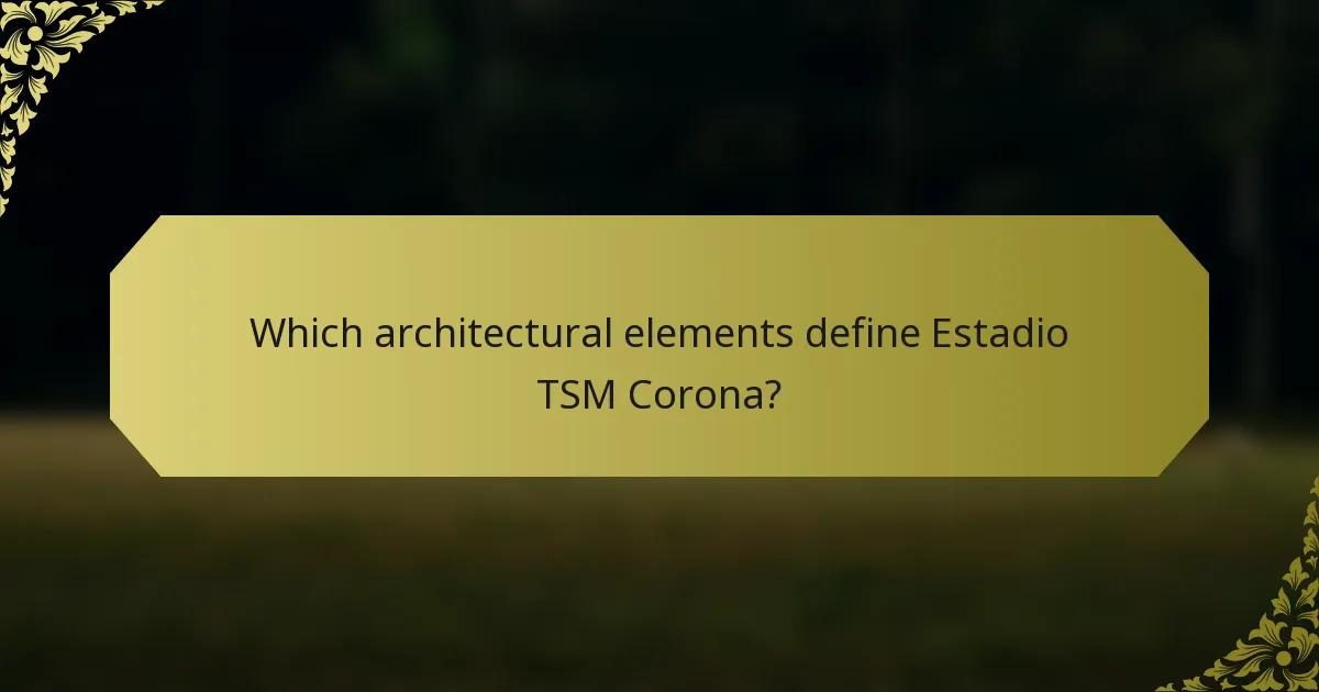 Which architectural elements define Estadio TSM Corona?